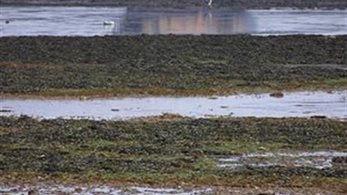 bembridge