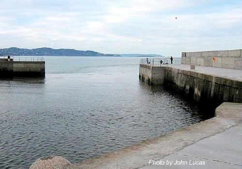 Bray