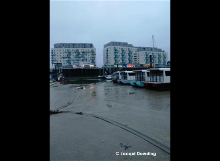 Brighton mud 2019