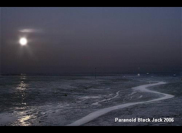 Moonlight and Mud