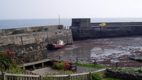 craster