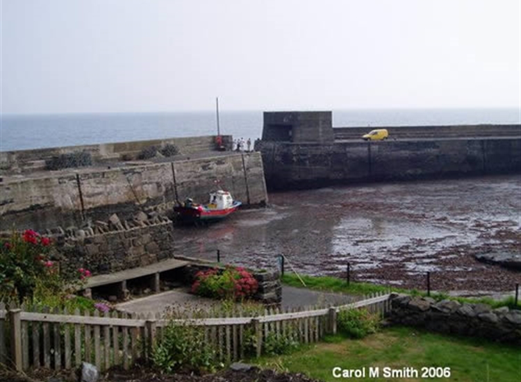 Harbour Dries