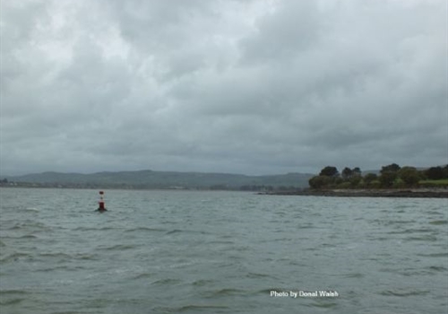 Dungarvan & Helvick