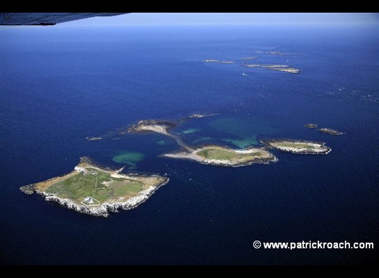 Farne Islands