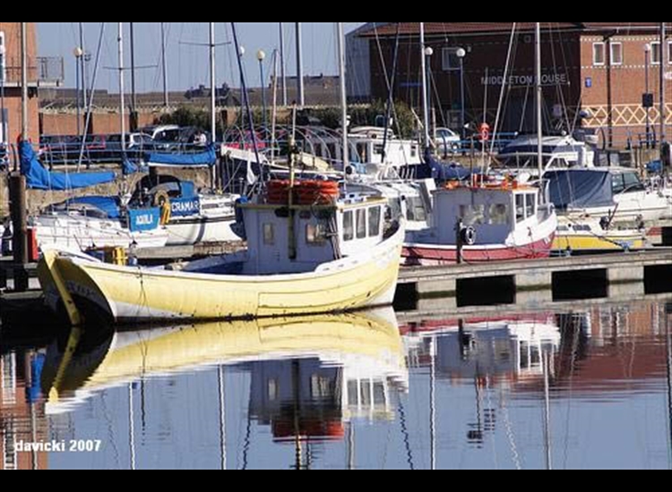 In the Marina