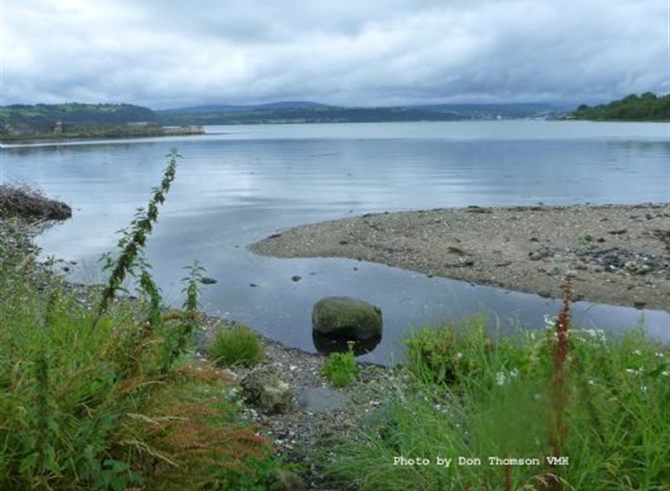 Mill Bay stream