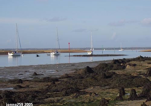 Newtown River