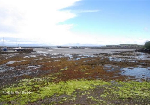 Scavaig, Rum & Muck