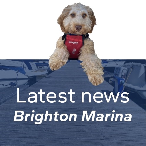 brighton-marina-yacht-club-trials-reduced-dog-friendly-hours